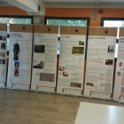 Licej Franceta Prešerna Trst